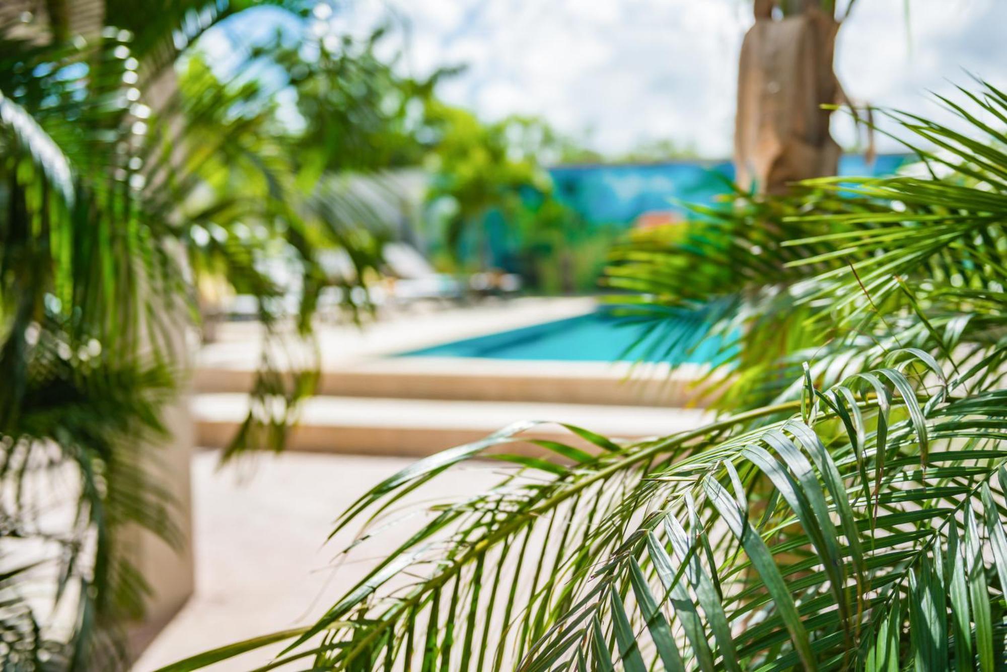 Casita Palma Boutique Resort Кралендейк Экстерьер фото