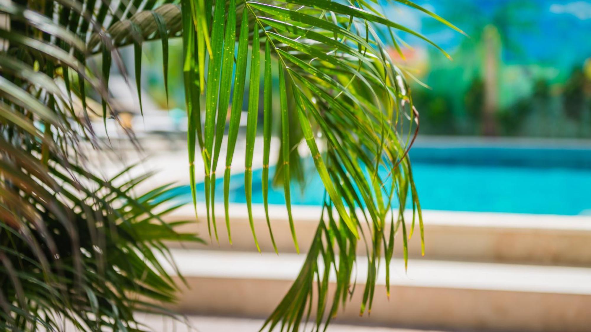 Casita Palma Boutique Resort Кралендейк Экстерьер фото